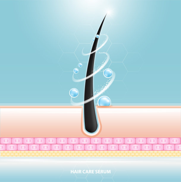 护发血清毛囊诊断。解剖皮肤、医用人体、表皮层、矢量插图设计。图片下载