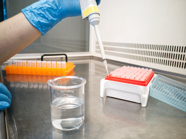 实验室技术员戴着蓝色医用手套使用电子移液管图片下载