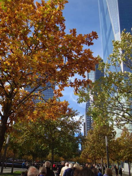 五彩缤纷的秋天里的纽约大街图片下载