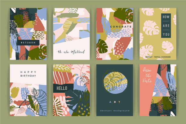 创造性的设置模板与热带植物和图片下载