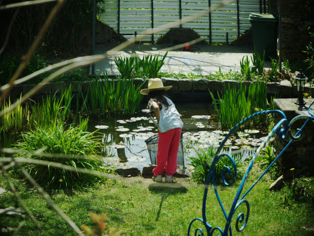 从后面看到小女孩在池塘里寻找青蛙图片下载