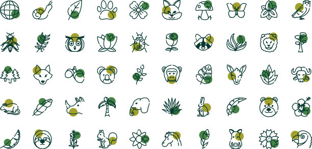 生物多样性和动物半线半色图片下载