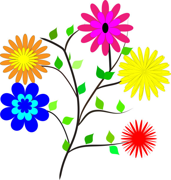 多色花白色背景图片下载