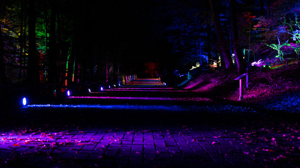 灯的夜晚图片下载