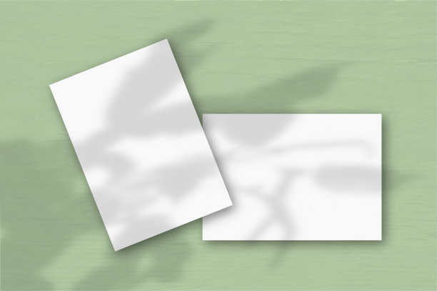 绿色的墙上贴着两张白色的纹理纸。模型覆盖的植物阴影。自然光在外来植物上投下阴影。平躺，俯视图。水平方向图片下载