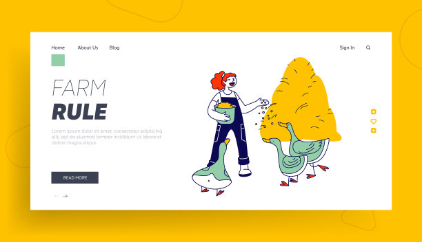 女人喂鹅网站登陆页女性图片下载