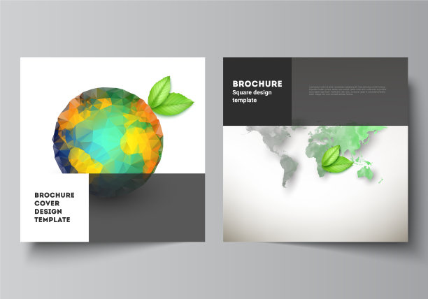 版面两方格式封面设计图片下载