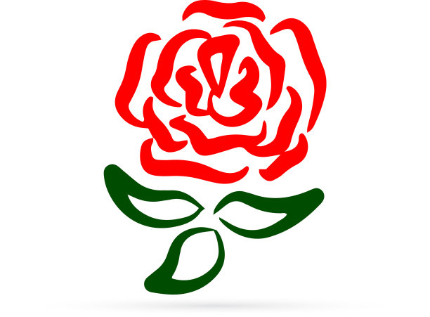 涂鸦玫瑰与叶子图标孤立在白色图片下载