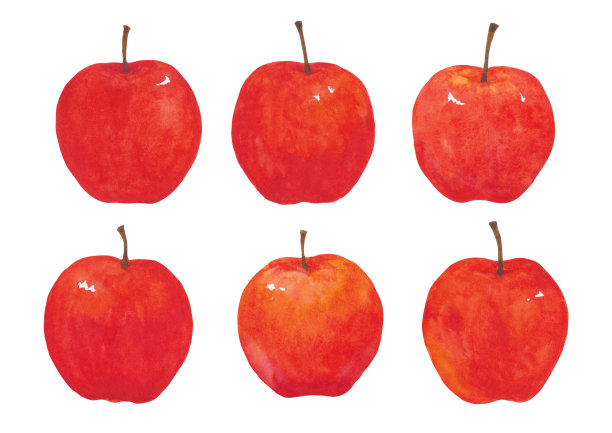 苹果的水彩画图片下载