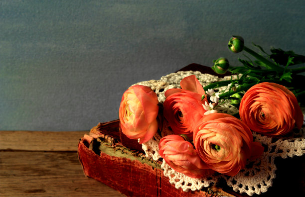 橙毛茛花和旧书图片下载