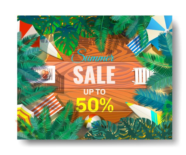 夏季销售美丽的网络横幅。俯视图上的贝壳，木质纹理。矢量插图。图片下载