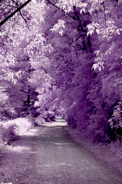 红外道路图片下载