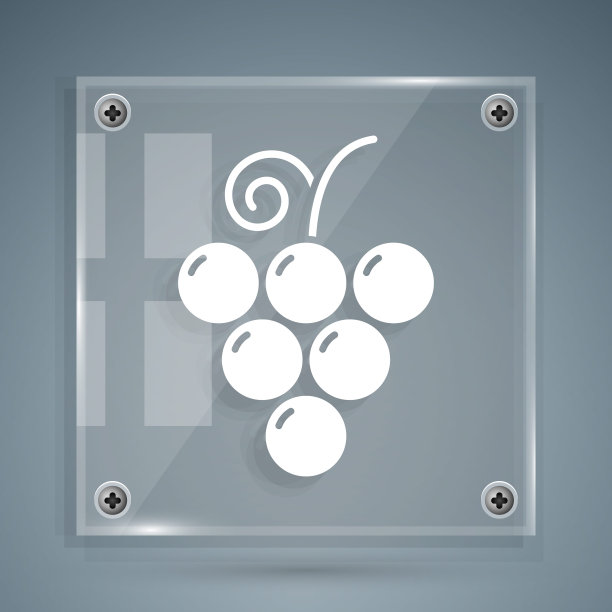 白色葡萄水果图标孤立在灰色背景。方形玻璃面板。矢量图图片下载