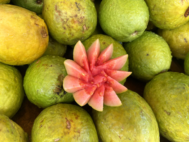 削减番石榴果实图片下载