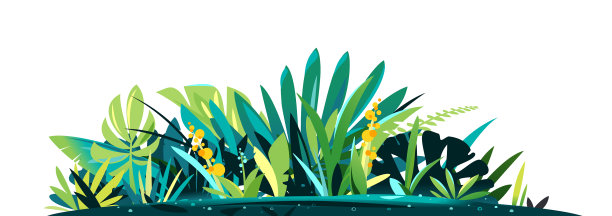 丛林植物装饰成分图片下载