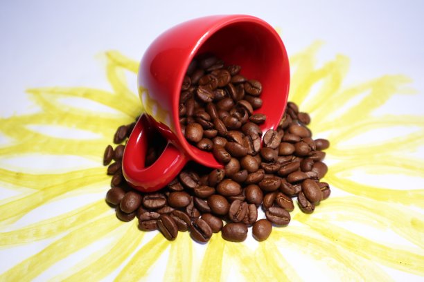 红色陶瓷杯，向日葵上的咖啡豆图片下载