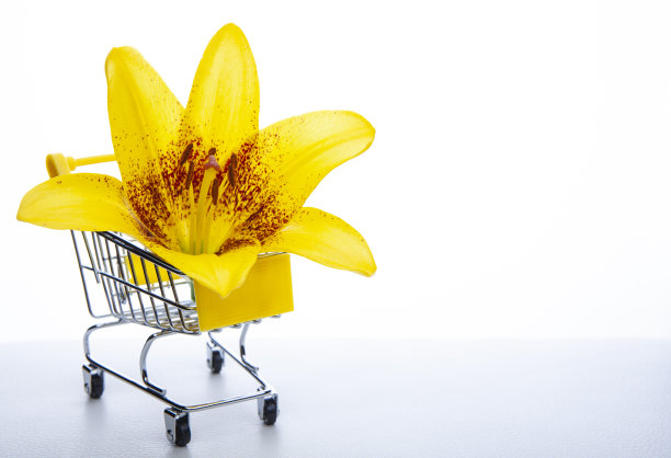 手推车花的图像白色背景图片下载