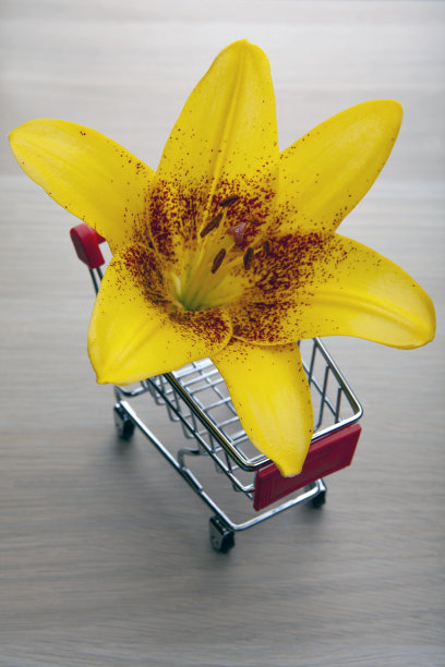 手推车花木桌的形象图片下载