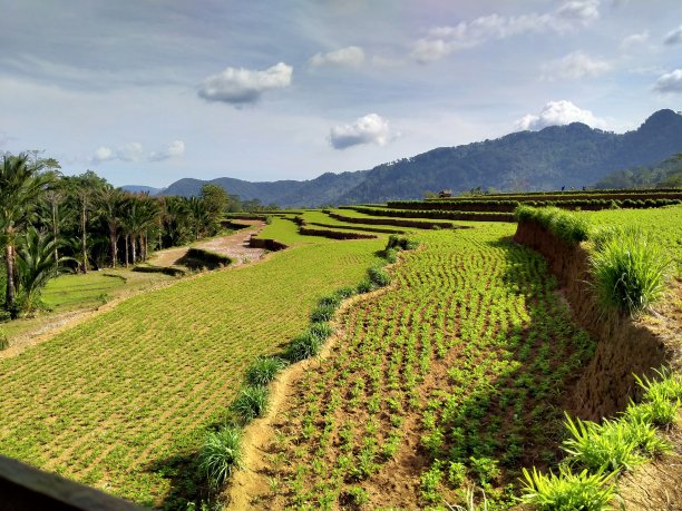 神奇的农业图片下载