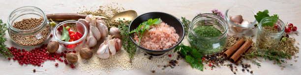各种药草和香料图片下载