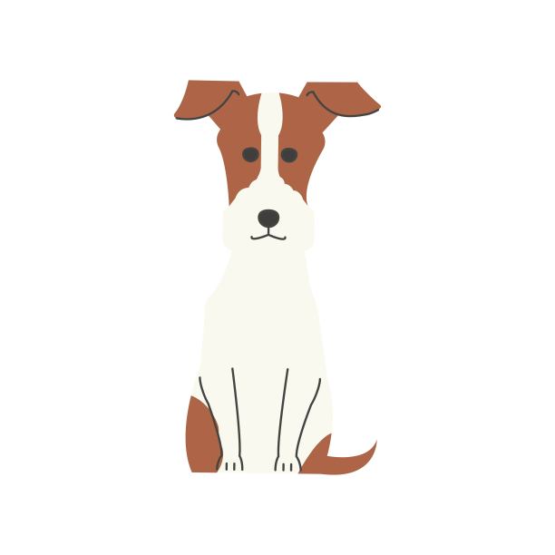 200702年animalhospital_016图片下载