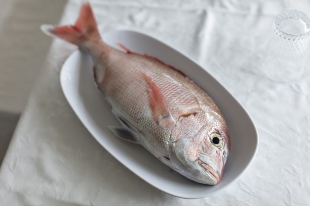 红鲷鱼图片下载