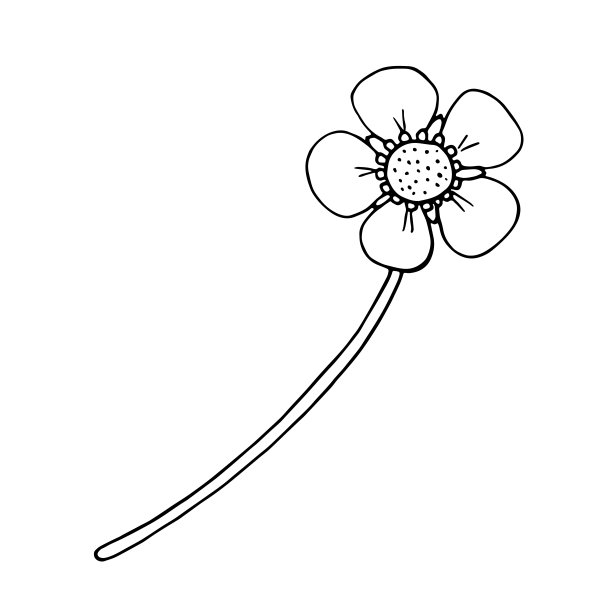 向量草莓花。轮廓黑白涂鸦插图图片下载