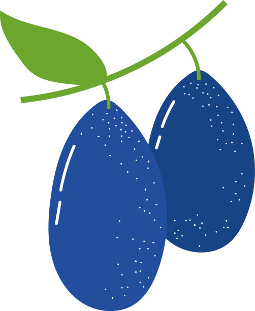 蓝莓，异域水果，扁平风格图片下载