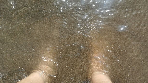 腿在海图片下载