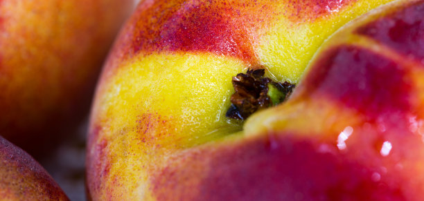 特写大红油桃与水滴。图片下载