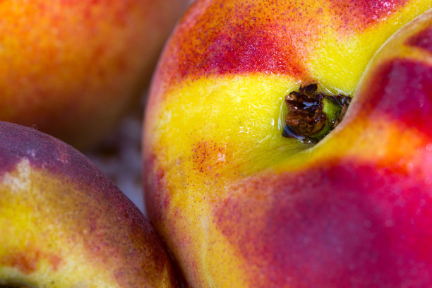 特写大红油桃与水滴。图片下载