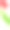 弯曲的郁金香花，绿色的尖叶和图片下载