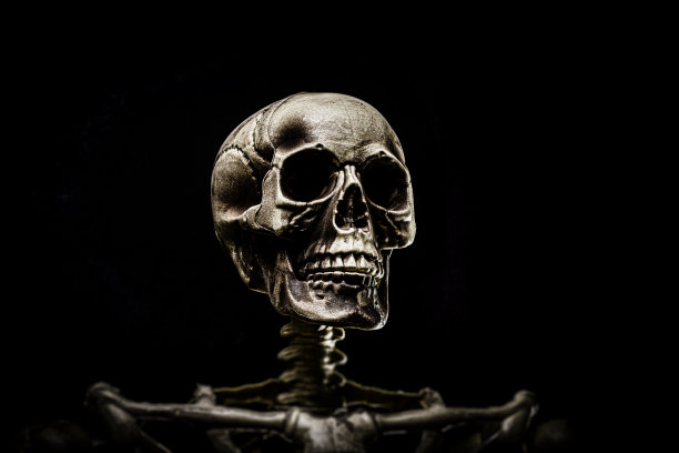 人类头骨图片下载