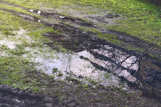 草地上有车胎印的水坑图片下载