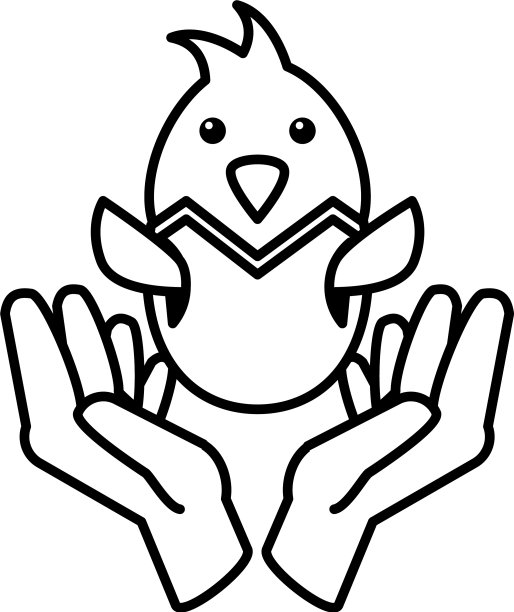 白色背景上带蛋壳的鸡肉图片下载