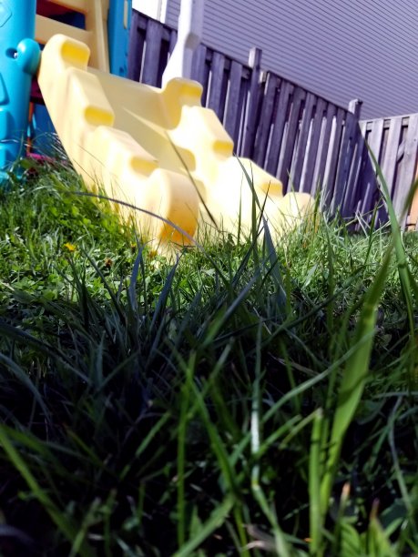 滑入夏天图片下载