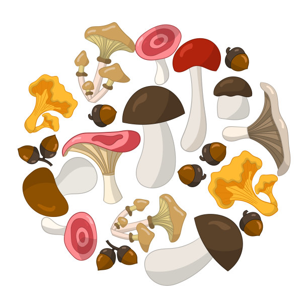 白色背景上一圈可食用的蘑菇图片下载