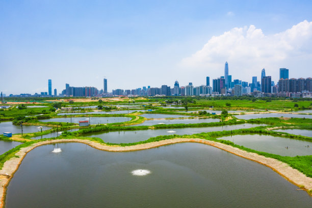 无人机拍摄的香港乡村绿地和鱼塘以及深圳的天际线图片下载