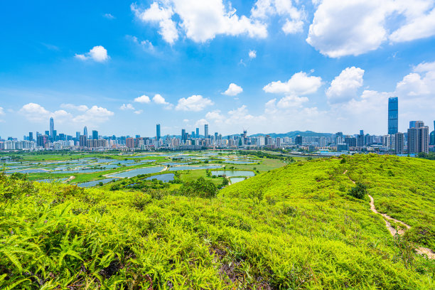 无人机拍摄的香港乡村绿地和鱼塘以及深圳的天际线图片下载