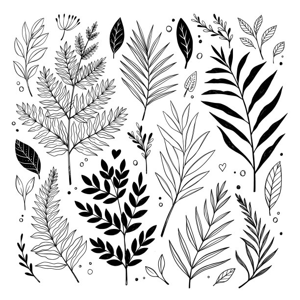 手绘矢量复古元素(草药，叶子，花，树枝)。野生和自由。植物插图。完美的邀请，贺卡，引用，博客，婚礼框架，海报图片下载