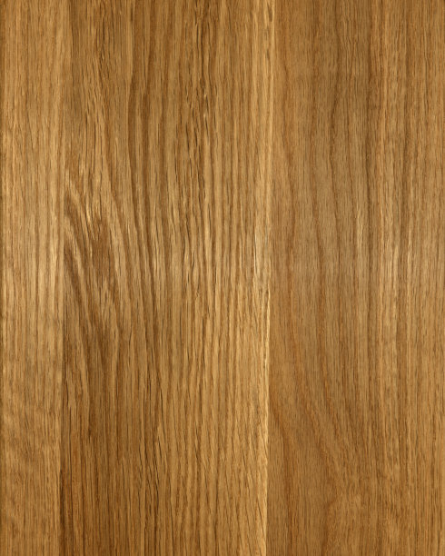 橡木背景纹理图片下载