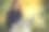 时尚优雅的女孩在笔记本电脑上工作，坐在乡村的椅子上，在夏日日落时温暖的阳光下。年轻的商业女性在网上工作。新办公室的概念图片下载