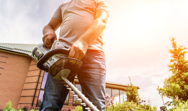 园丁用树篱修剪器修剪树木图片下载