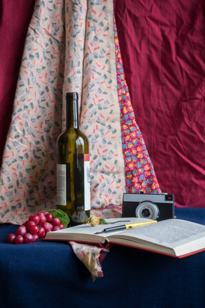 静物，一瓶酒，一本书，一个旧相机和葡萄图片下载