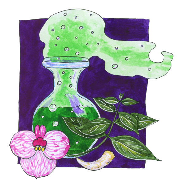 女巫药水瓶装满绿色的长生不老药，有气泡和烟雾，神奇的植物和花，牙或牙齿作为化学药物的元素。水彩手绘插图，构成在紫罗兰广场图片下载