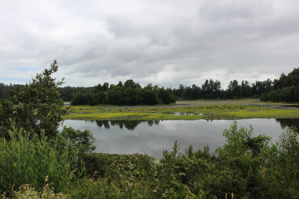 十字形河图片下载