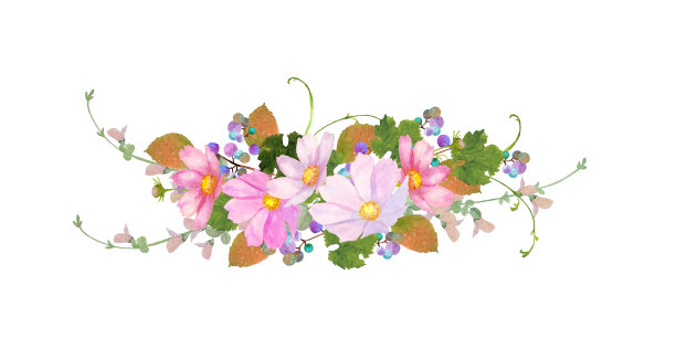 水彩宇宙花束图片下载