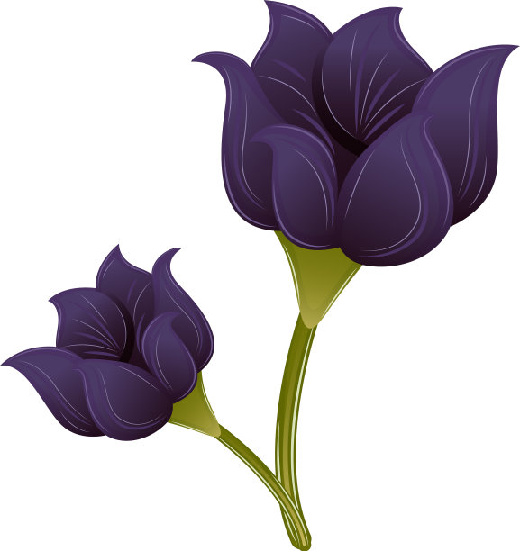 孤立的现实的花图片下载