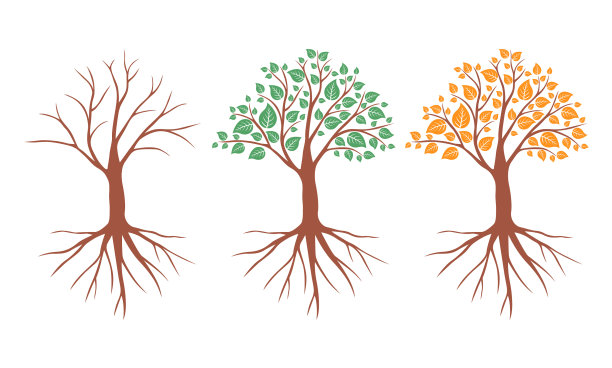 树在不同的季节设置图片下载