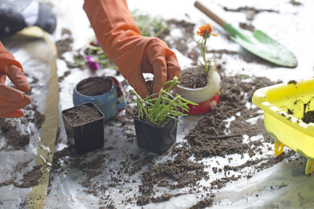 植树种花活动图片下载